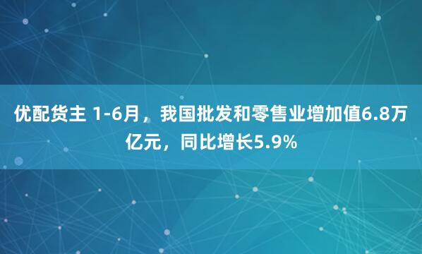 优配货主 1-6月，我国批发和零售业增加值6.8万亿元，同比增长5.9%