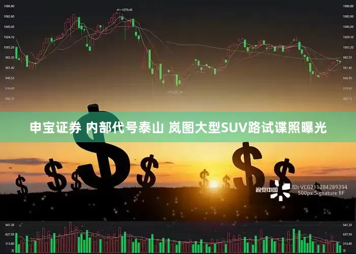 申宝证券 内部代号泰山 岚图大型SUV路试谍照曝光