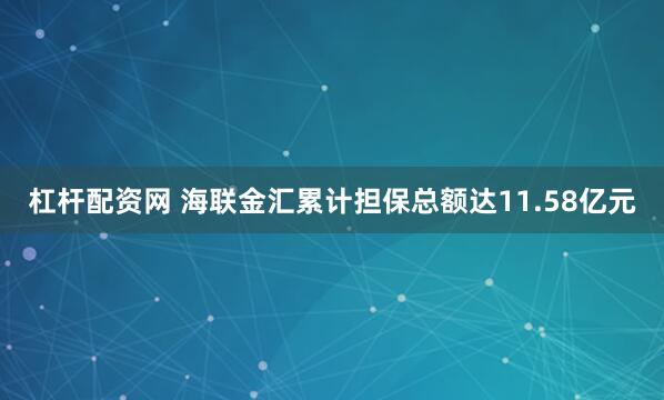 杠杆配资网 海联金汇累计担保总额达11.58亿元