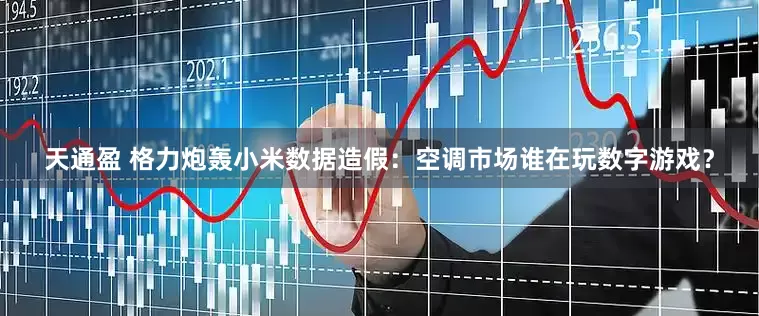 天通盈 格力炮轰小米数据造假：空调市场谁在玩数字游戏？