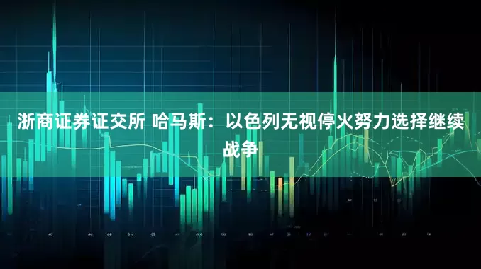 浙商证券证交所 哈马斯：以色列无视停火努力选择继续战争