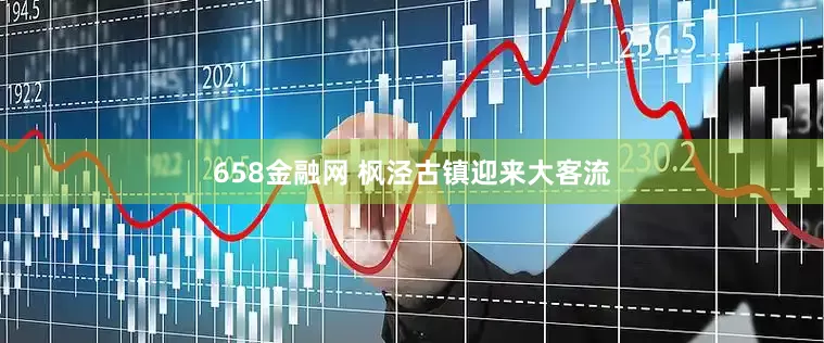 658金融网 枫泾古镇迎来大客流