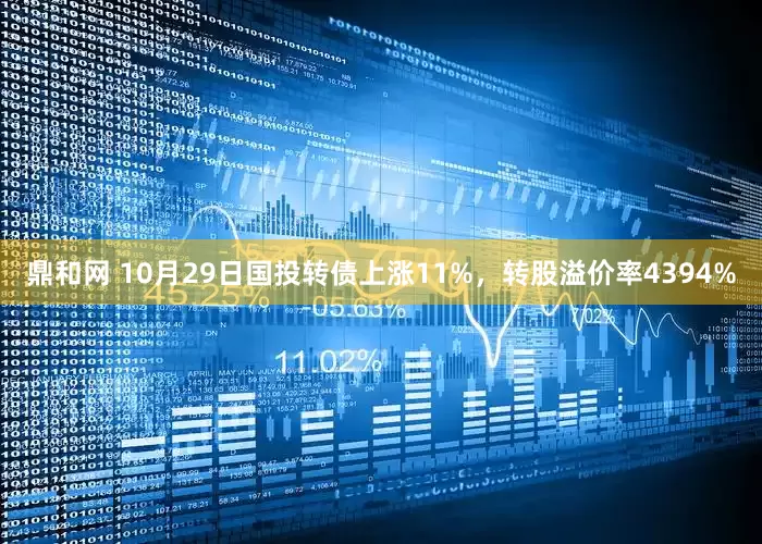 鼎和网 10月29日国投转债上涨11%，转股溢价率4394%